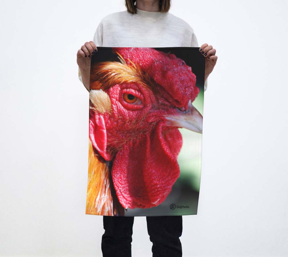 Gabphoto Linge à vaisselle 1b