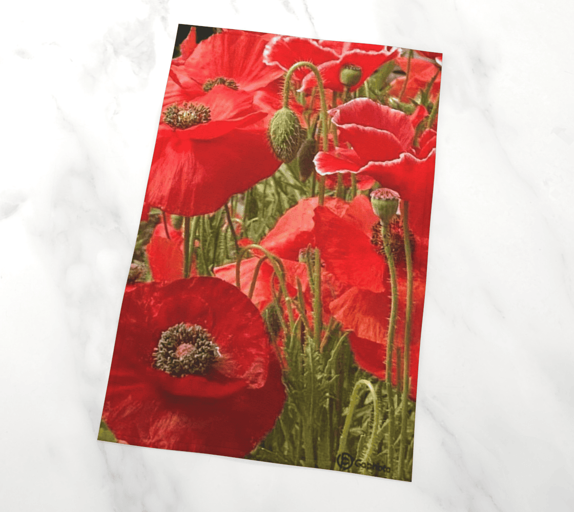 Gabphoto Linge à vaisselle Pavots oranges 1a