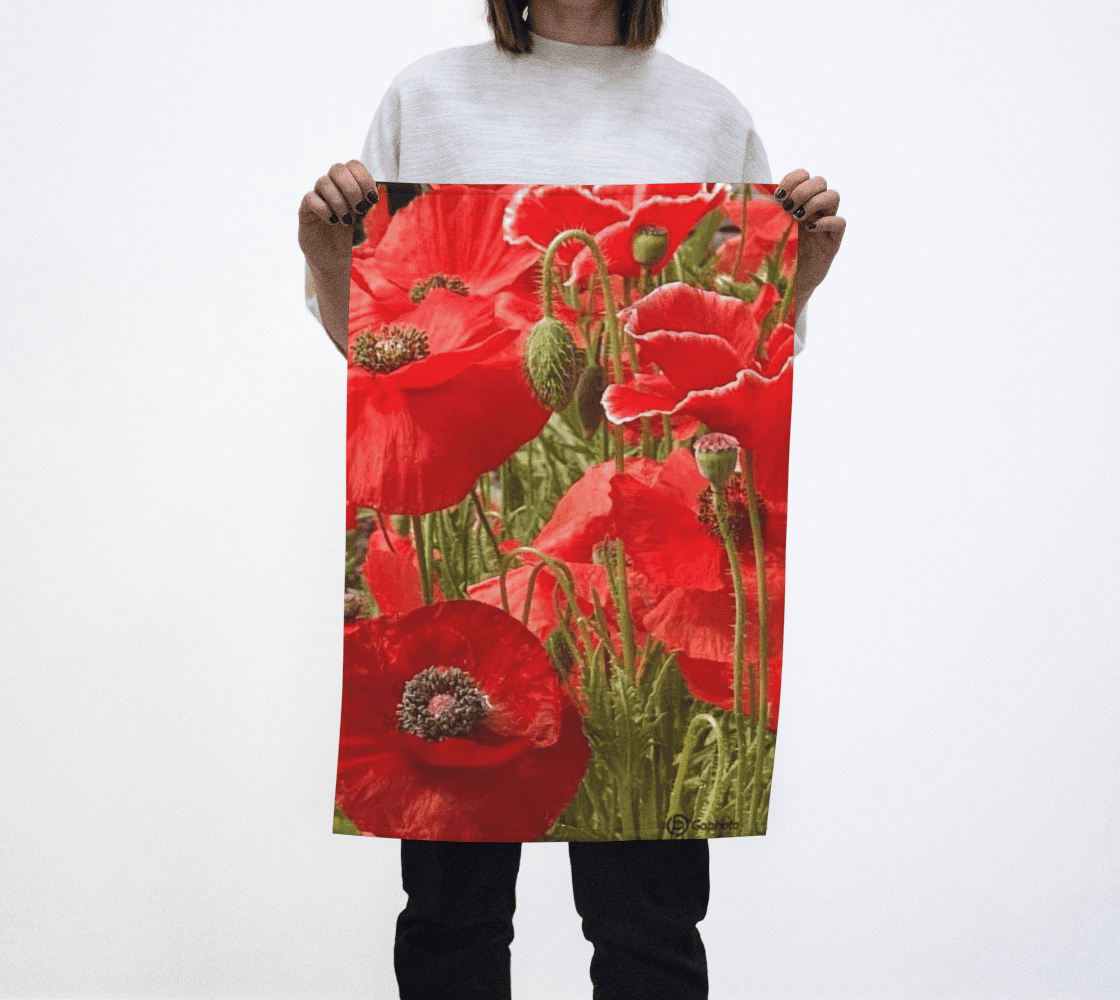 Gabphoto Linge à vaisselle Pavots oranges 1b