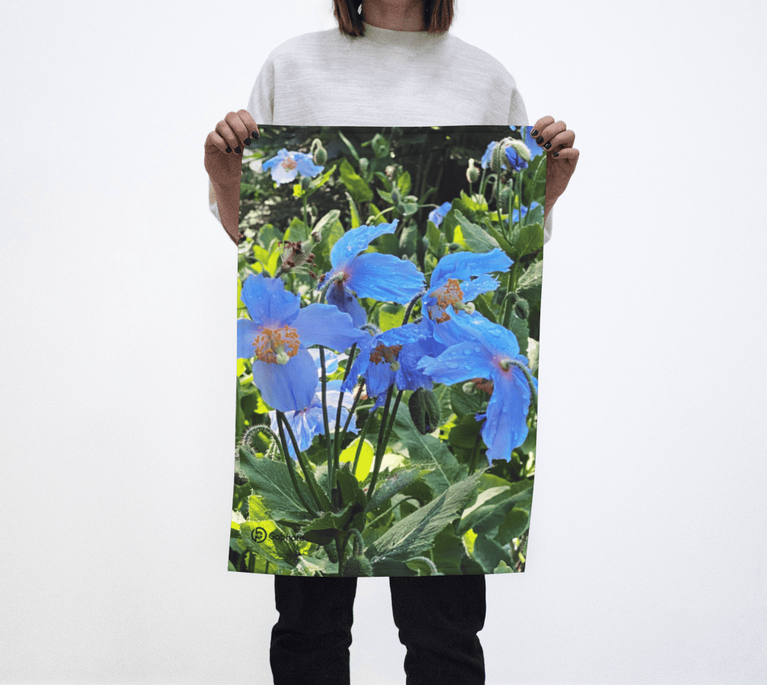 Gabphoto Linge à vaisselle