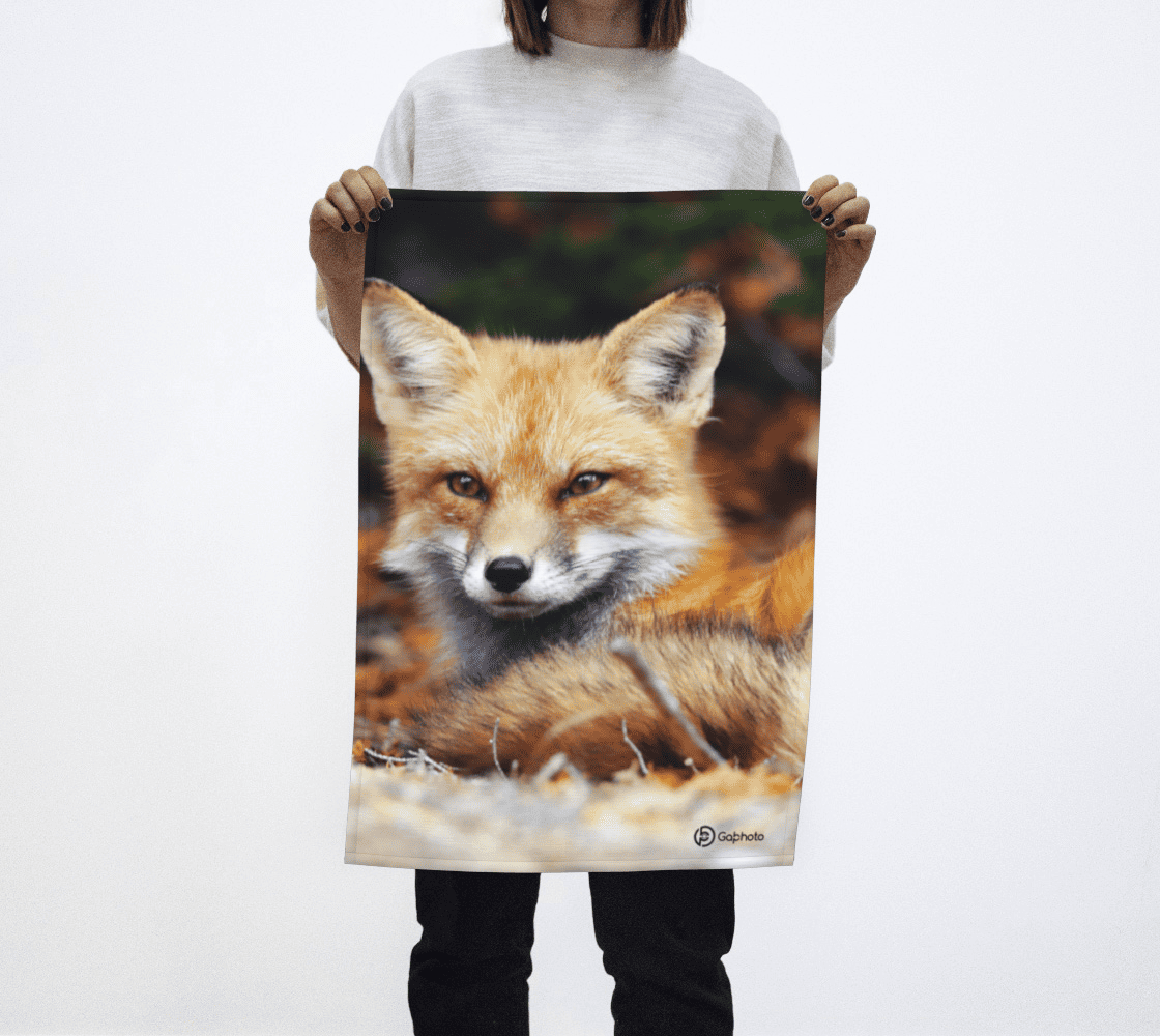 Gabphoto Linge à vaisselle Renard roux 1b