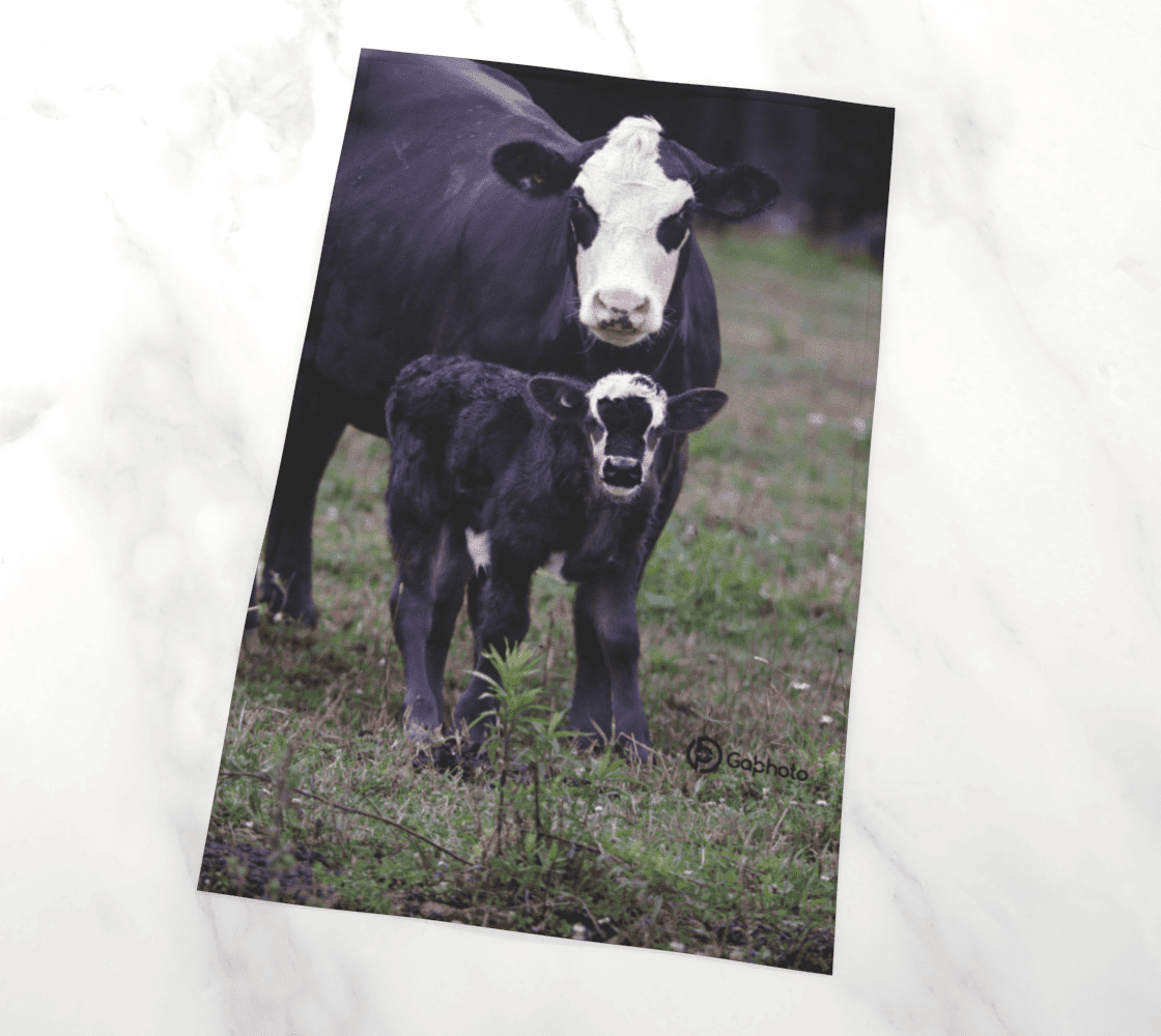 Gabphoto Linge à vaisselle Vache 1a