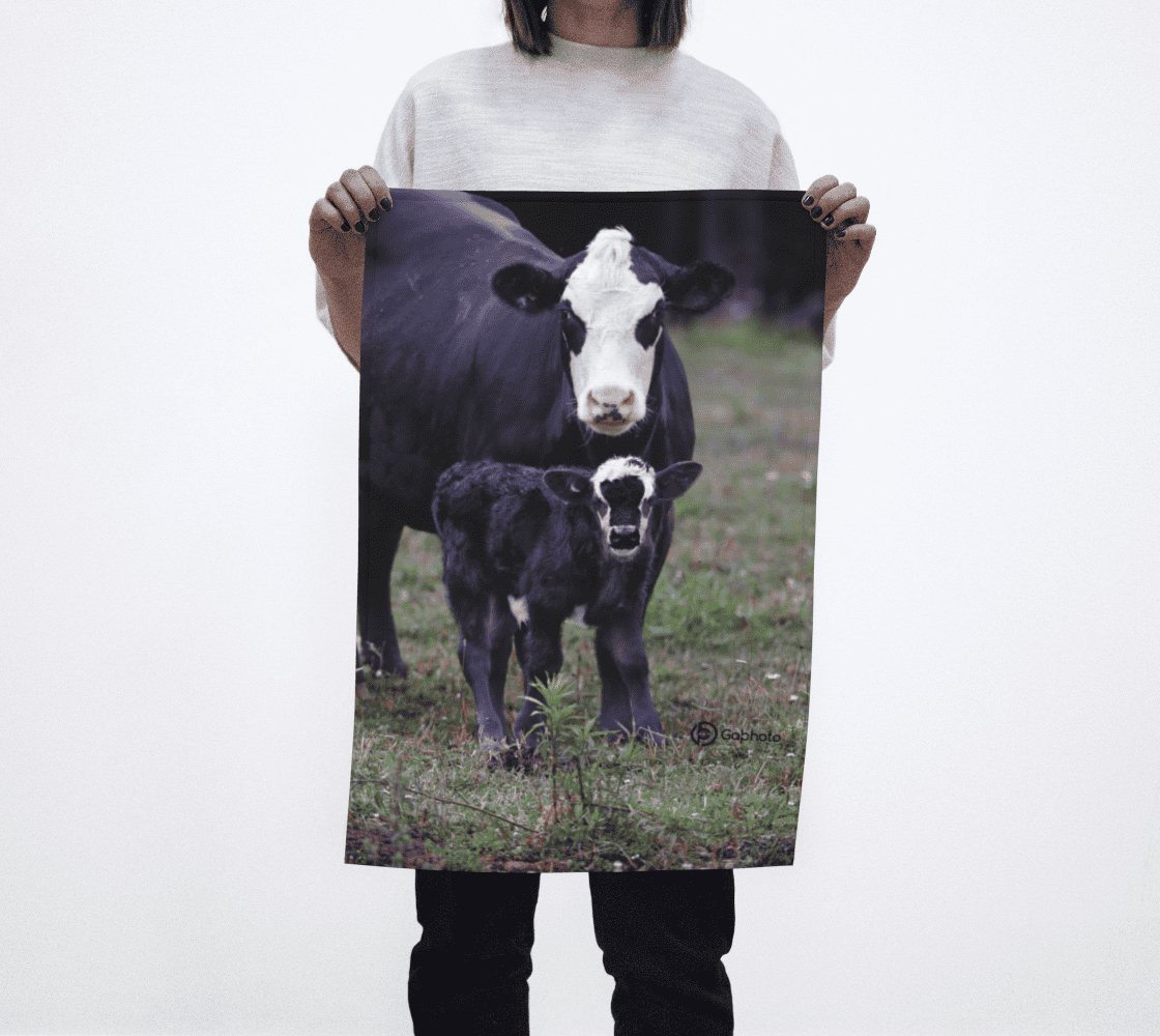 Gabphoto Linge à vaisselle Vache 1b