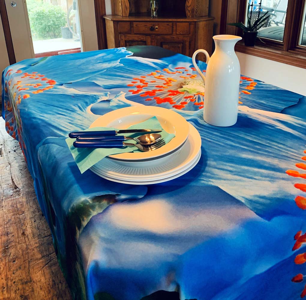 Pavots bleus 1 Gabphoto