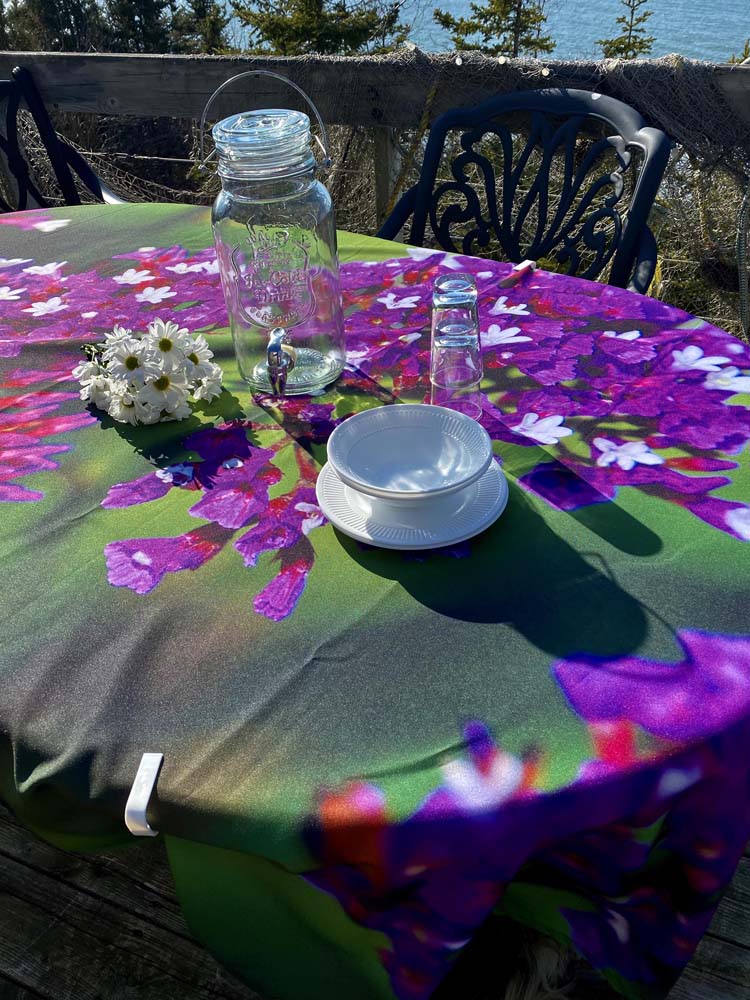 Fleurs Statices mauves Gabphoto