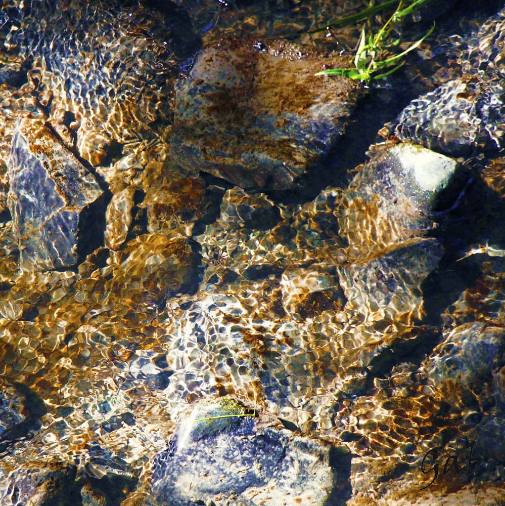 Gabphoto Fond marin 1