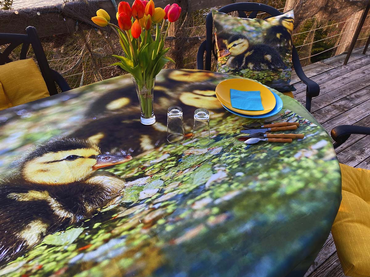 Mallard Ducklings Tablecloth