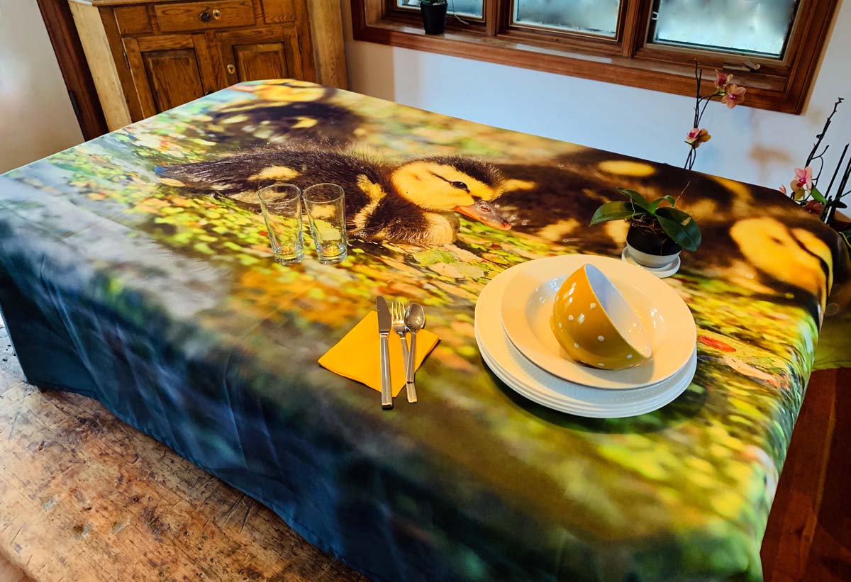 Mallard Ducklings Tablecloth