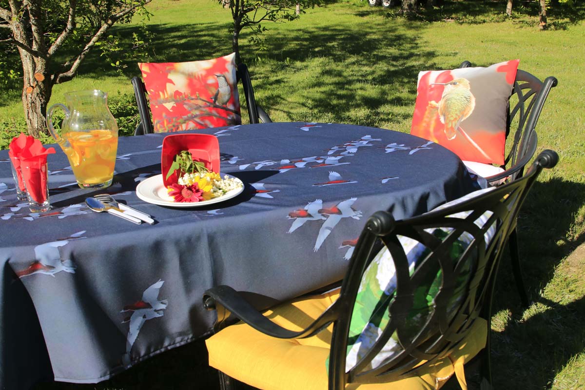 NappeOiesinfrarouge1