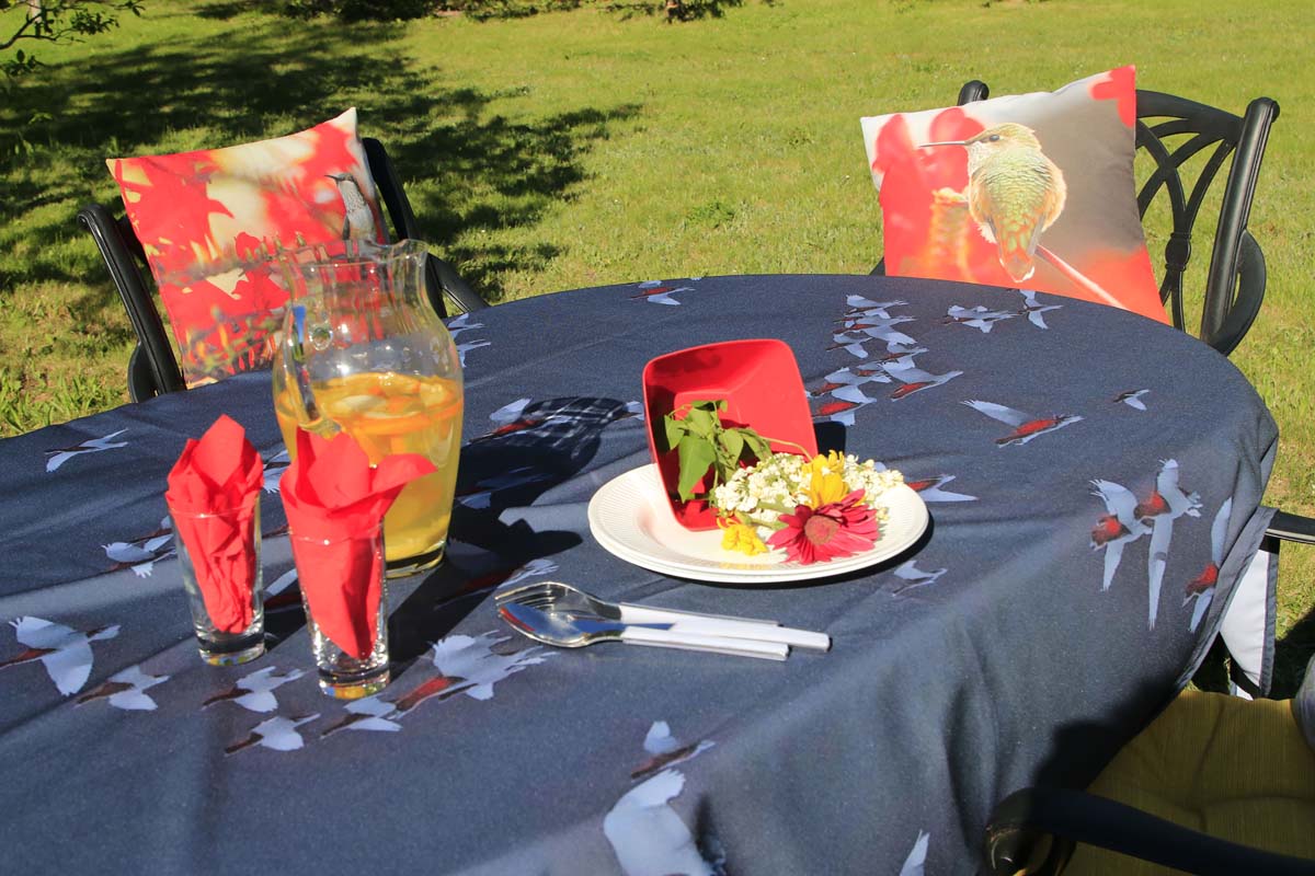 NappeOiesinfrarouge2