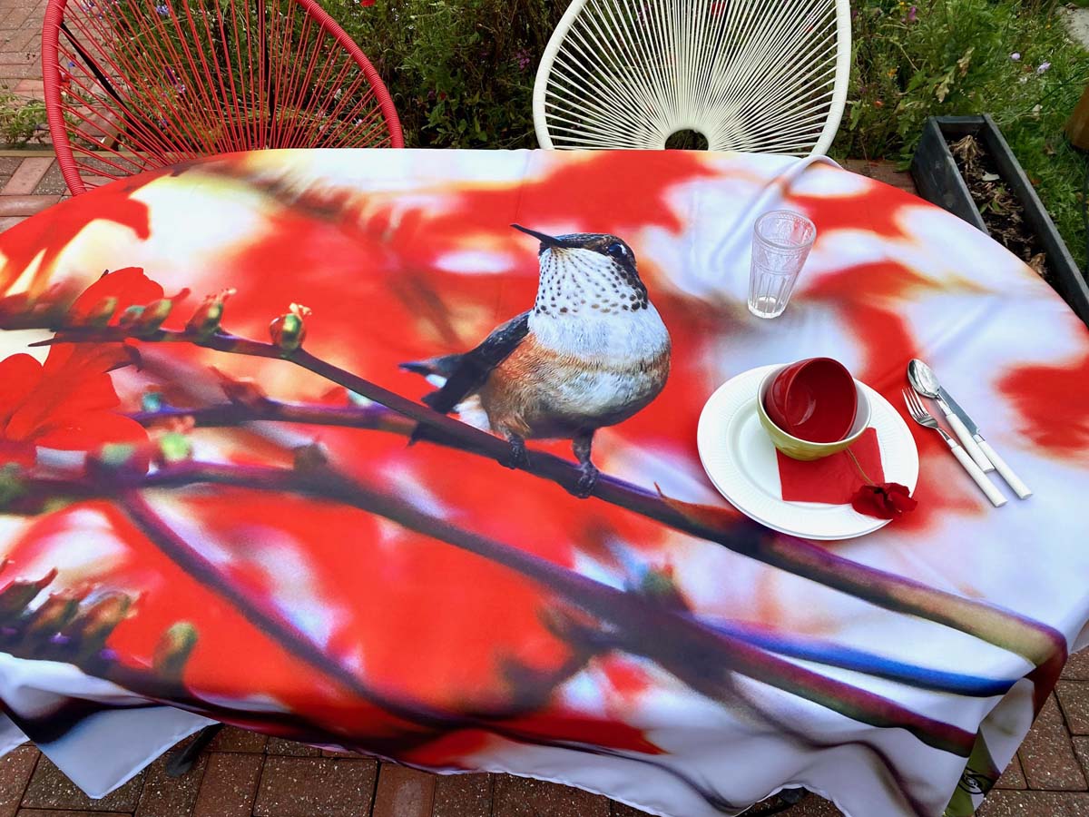 NP-053bNappeColibrirouxbecenl_air2