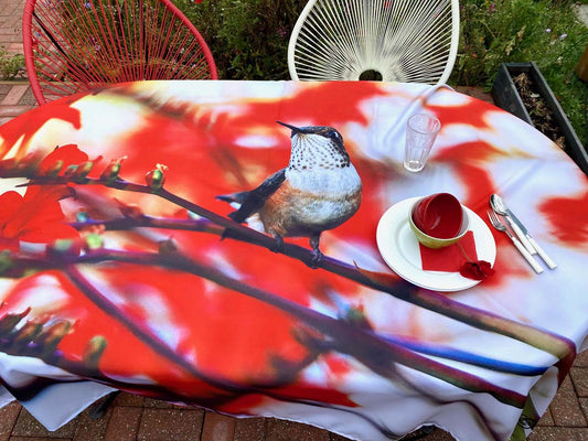 NP-053bNappeColibrirouxbecenl_air2