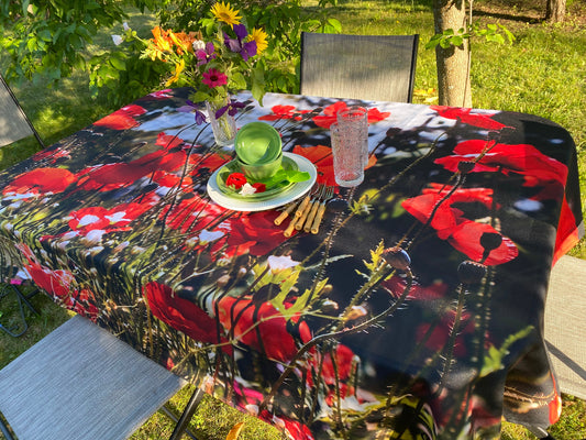 Nappes originales donnant un style particulier à votre cuisine ou salle à dîner! 100%polyester. Qualité d’Impression supérieure, par sublimation,donnant un rendu de couleurs vibrantes et stables, qui ne délavent pas. Encres écologiques sans solvants, à base d’eau. Durable ,supportant une utilisation quotidienne. Facile d’ entretien.Lavage à l’ eau froide, cycle délicat et séchage courte durée à la sécheuse. Sans repassage,anti tache si celle ci est nettoyée rapidement. Différents formats disponibles.