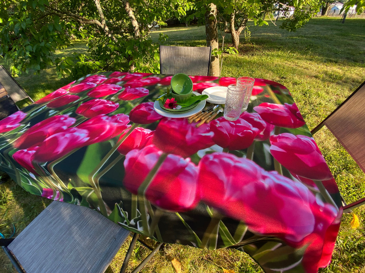 NappeTulipesroses2NP-063