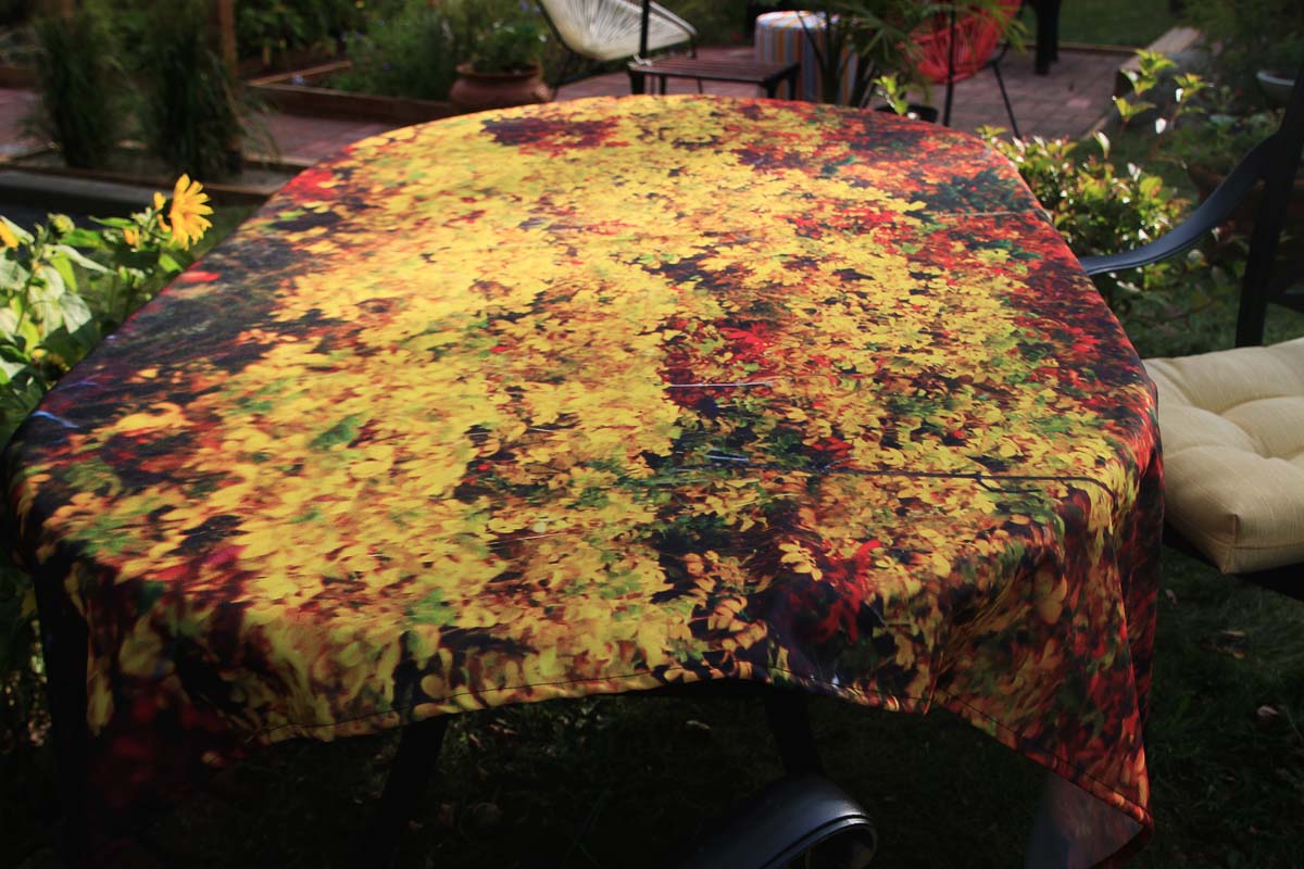 NappeFeuillesd_automne