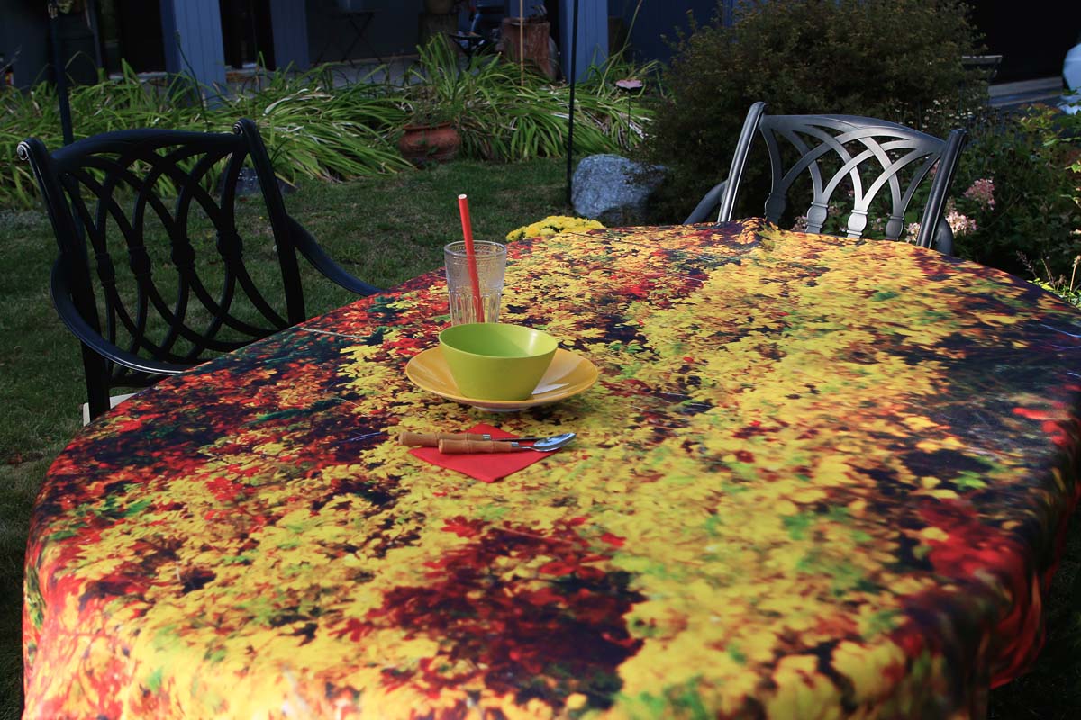 NappeFeuillesd_automne