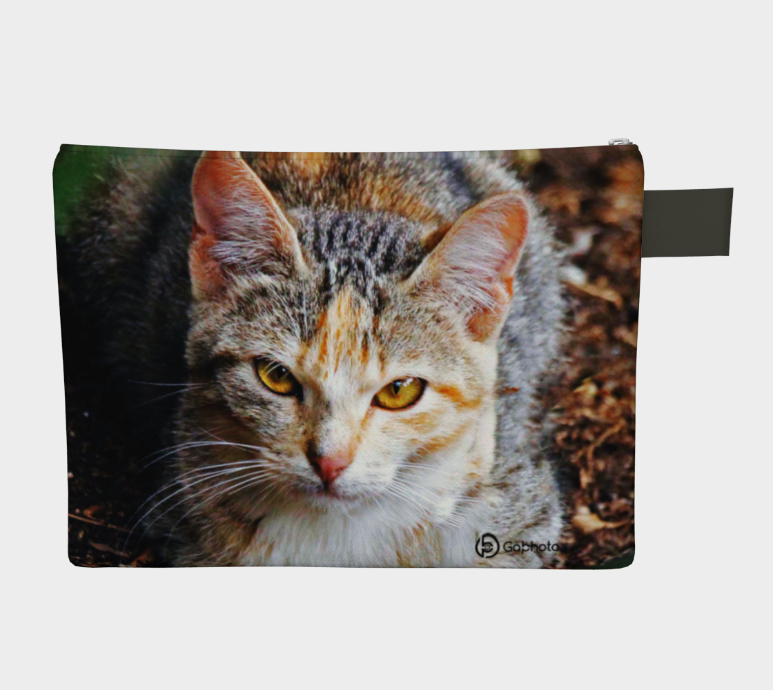 Pochette10poChatbeigex6