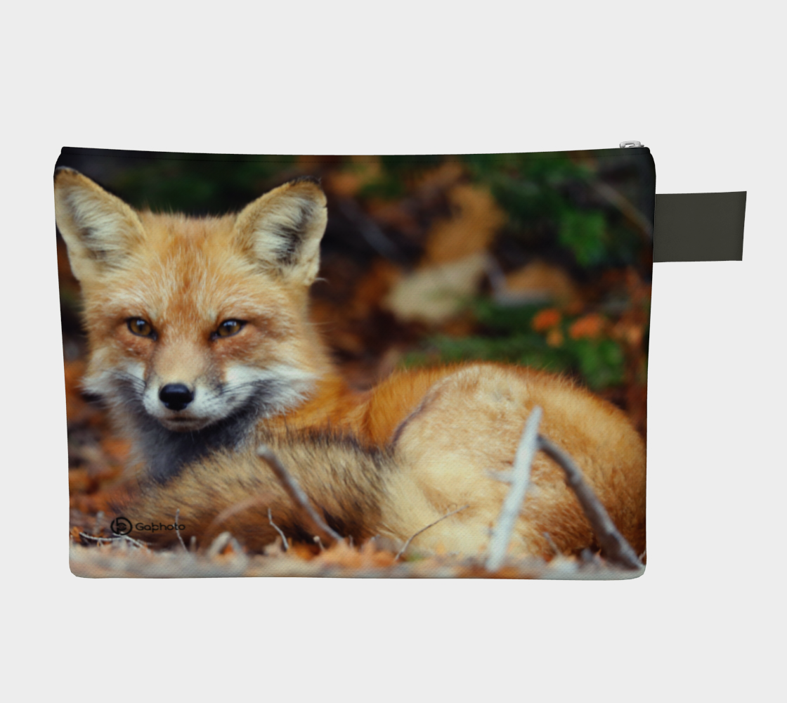 Pochette10poRenardrouxx6
