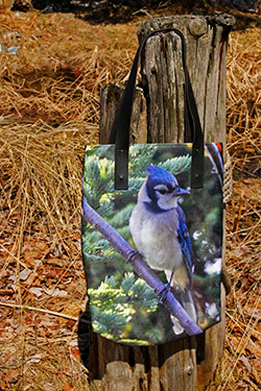 SC-005aSacUrbainGeaibleu