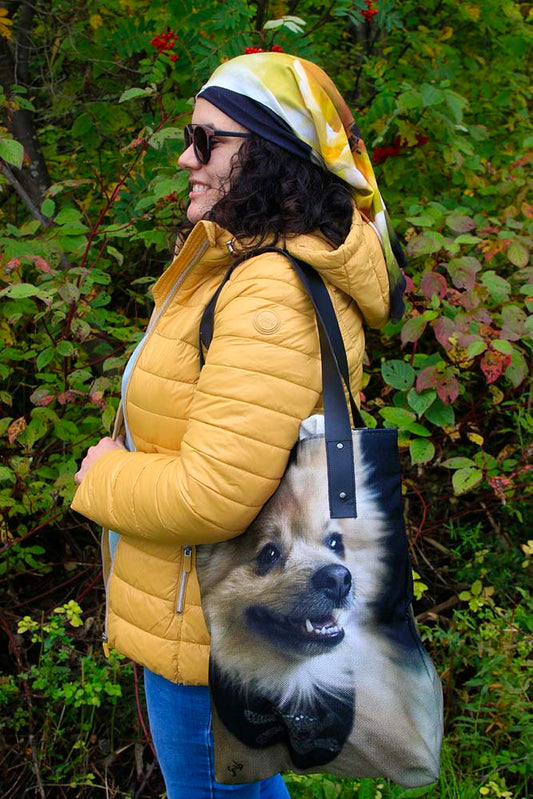 SC-007SacUrbainaPomeranien