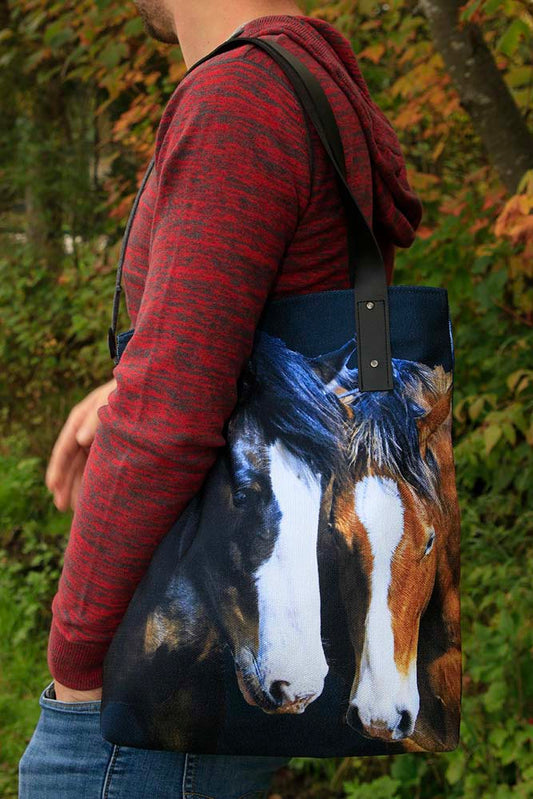 SC-012bScaUrbainDuodeChevaux