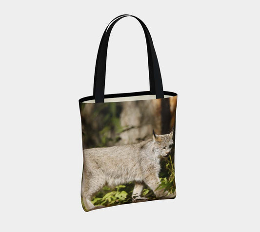 SacUrbainLynxduCanadadebou