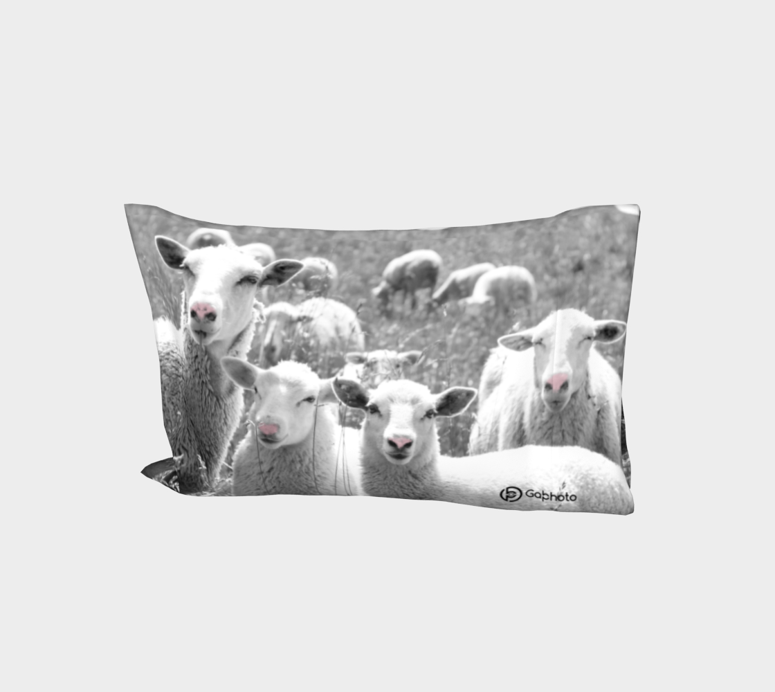 Sheep pillowcases TO-011