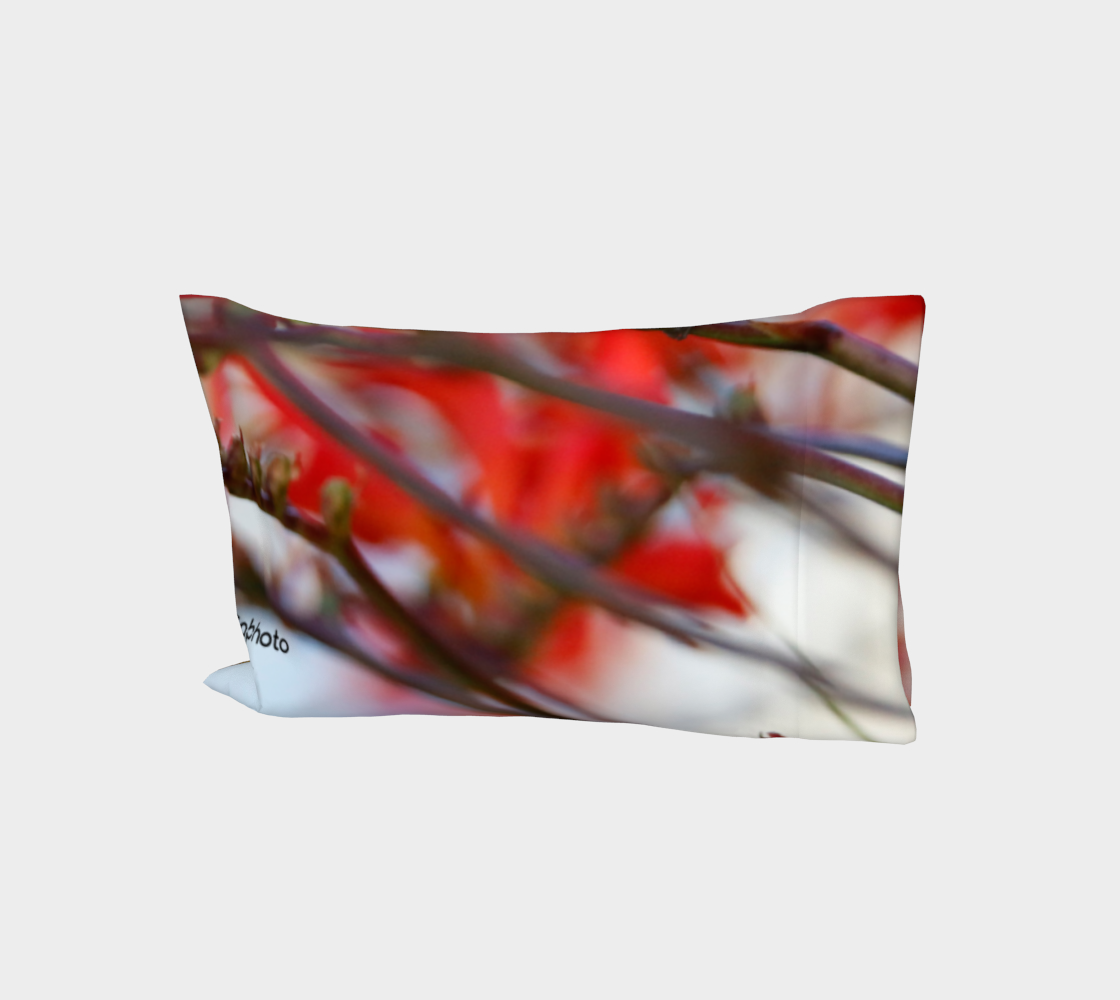 Gabphoto Taie oreiller Colibri roux 1b