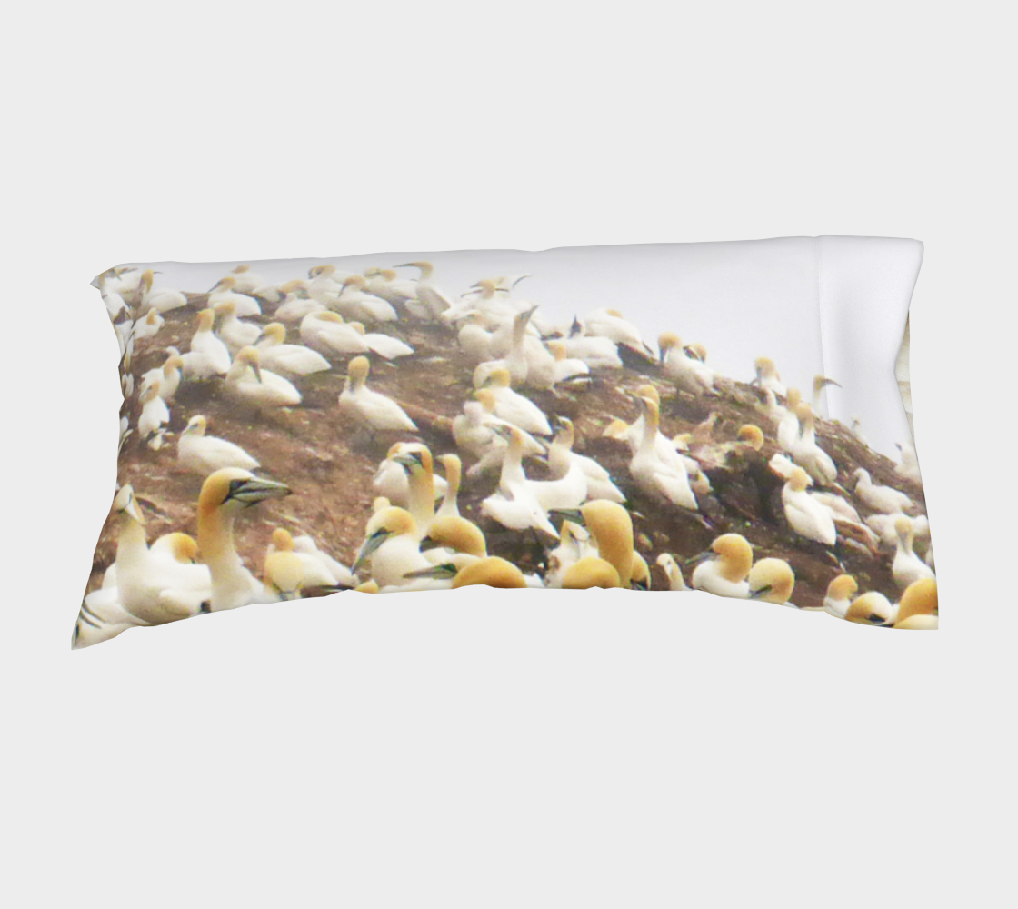 Gabphoto Taie oreiller Fou de Bassan 1b