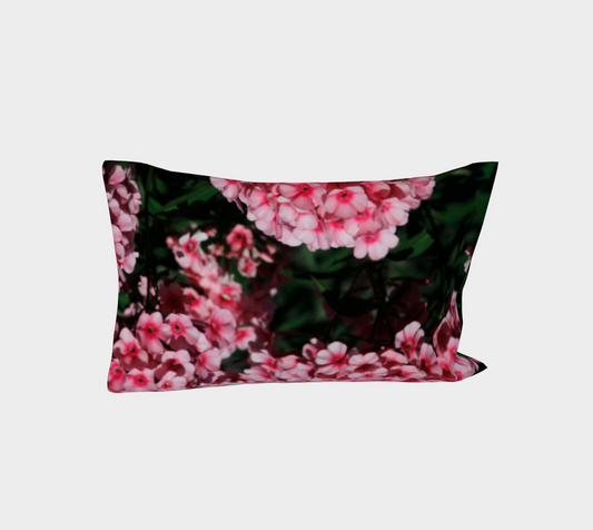 TaieoreillerPhloxroses2