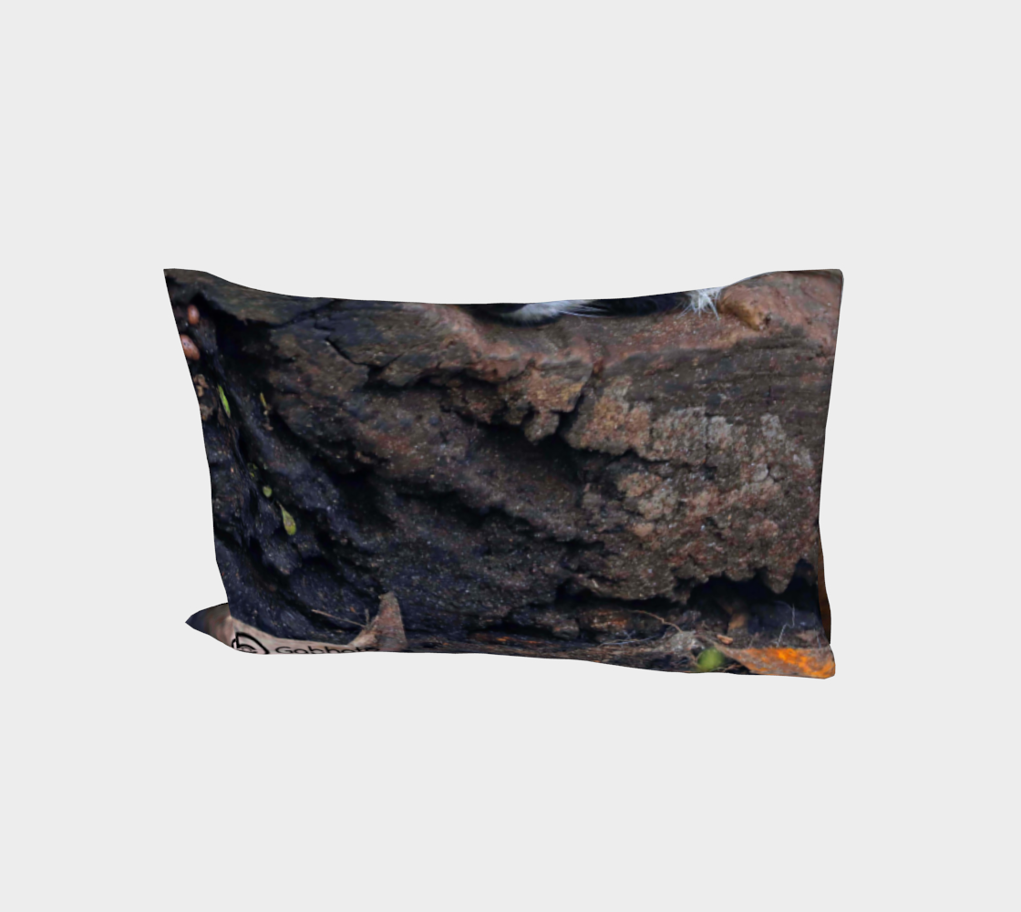 Gabphoto Taie oreiller Raton laveur 1b