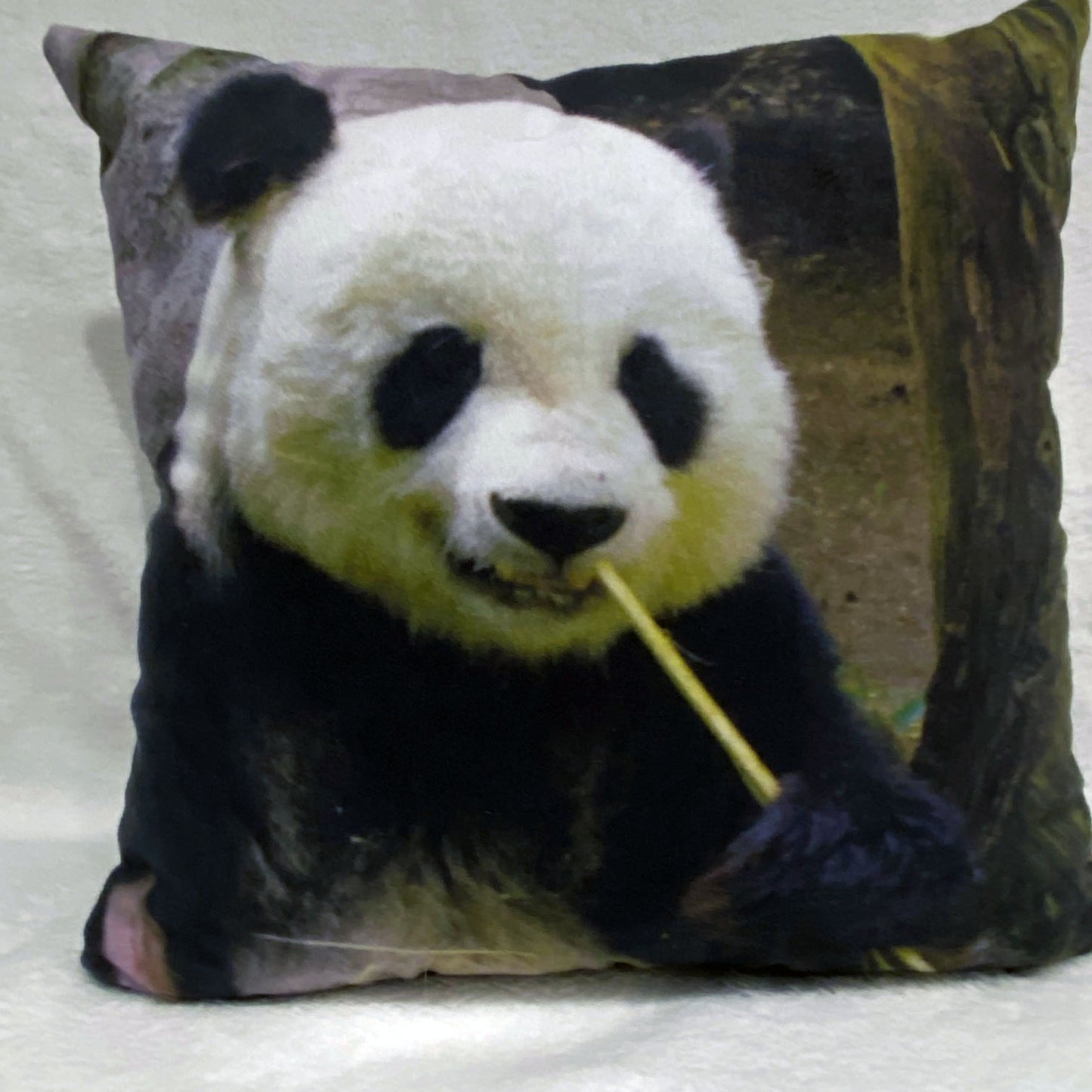 Coussin 14x14 Panda