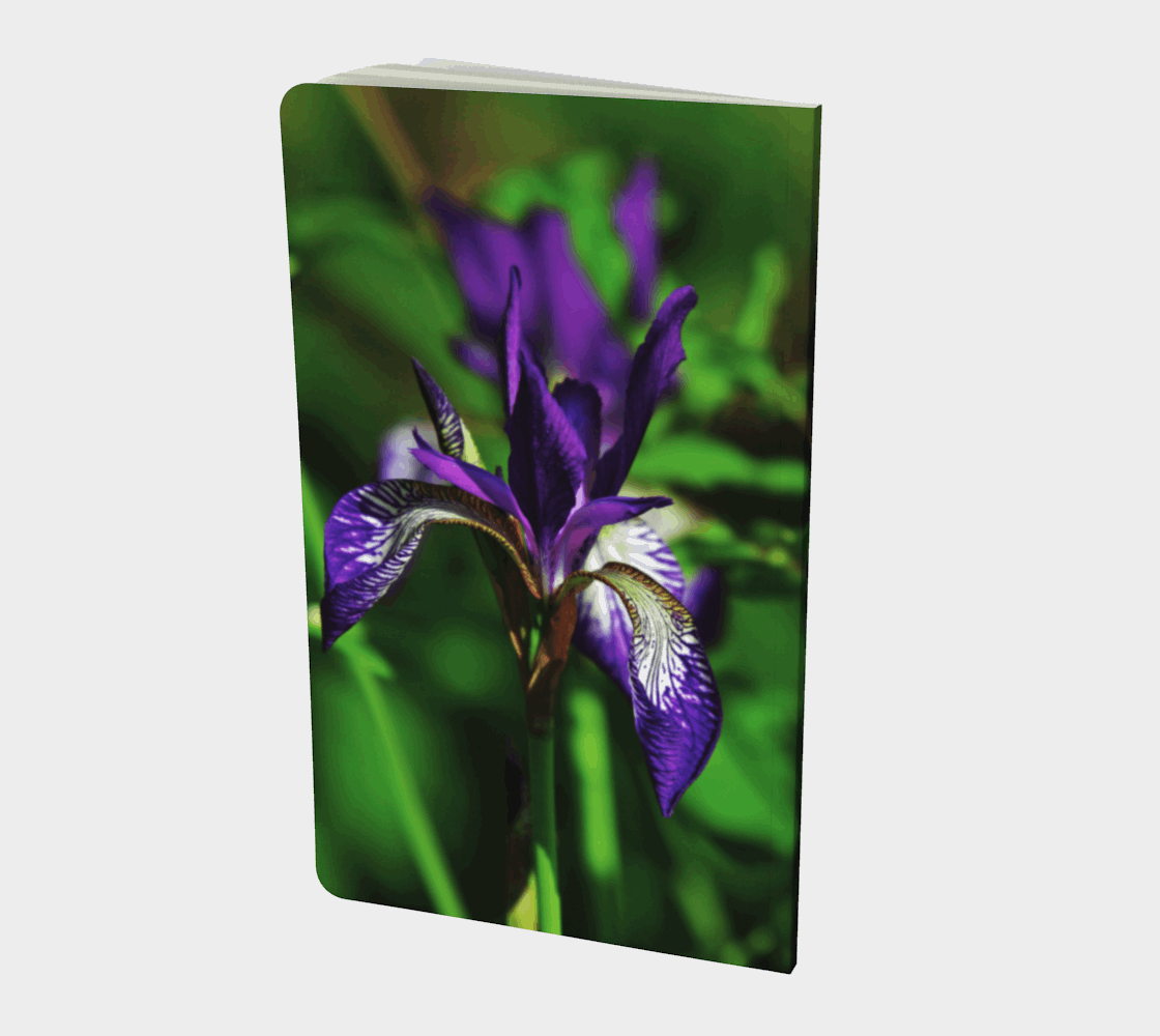 Calepin Iris versicolor bleu CP-012