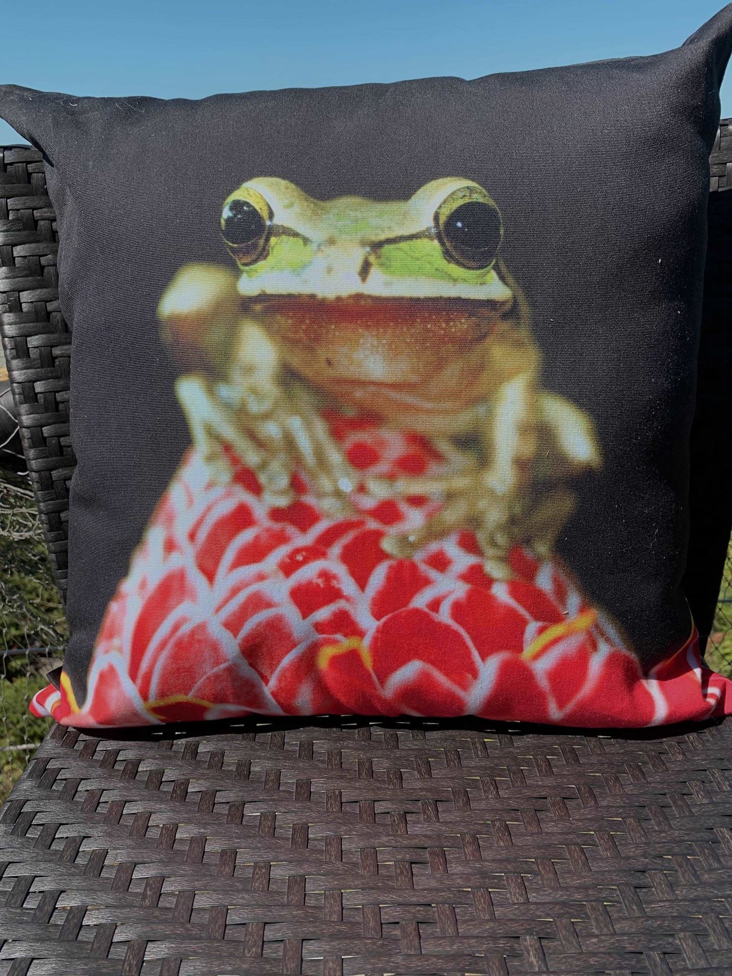 [Nappelayer] - [gabphotoboutique]