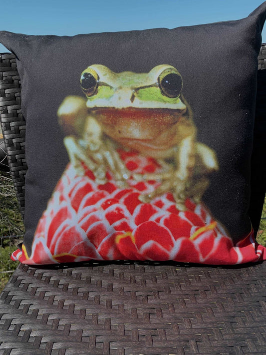 [Nappelayer] - [gabphotoboutique]