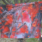 [Nappelayer] - [gabphotoboutique]