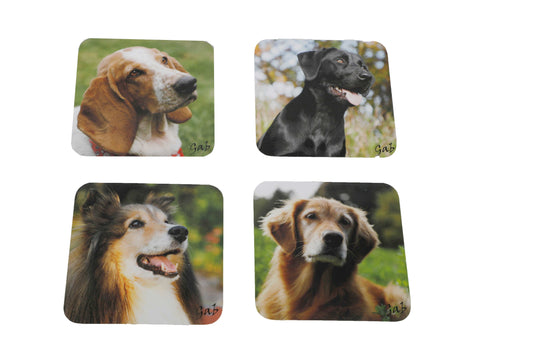 Ensemble de sous verres thématique Chiens