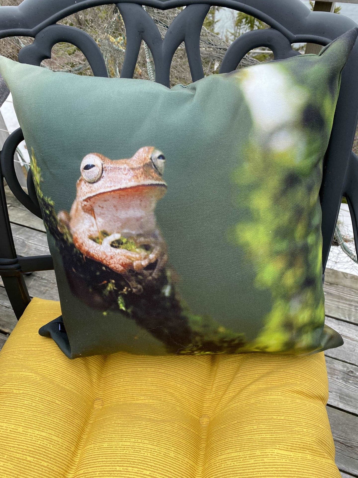 Outdoor cushions Toad on branch 18x18 CV-1818-050