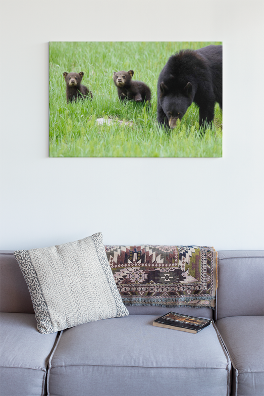 Photo print Bears and cubs 1