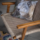 Cushion 18x18 Gray Wolf CS-1818-024
