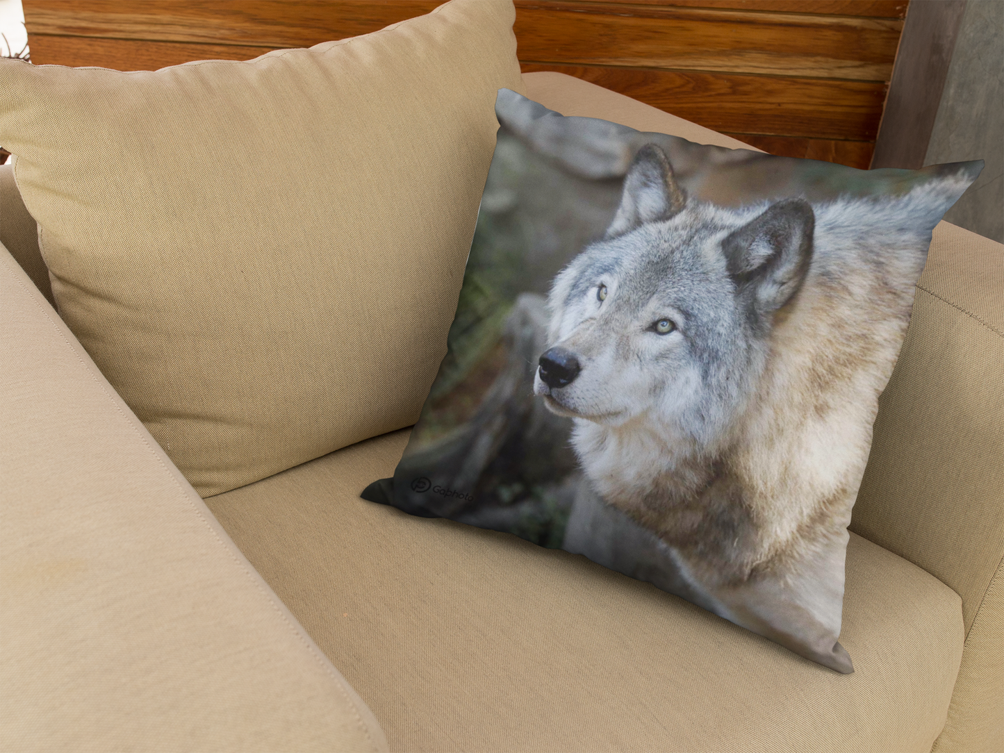 Cushion 18x18 Gray Wolf CS-1818-024