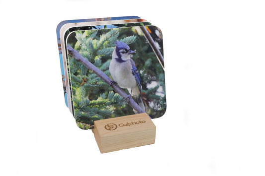 Ensemble de sous verres thématique Oiseaux de Jardins