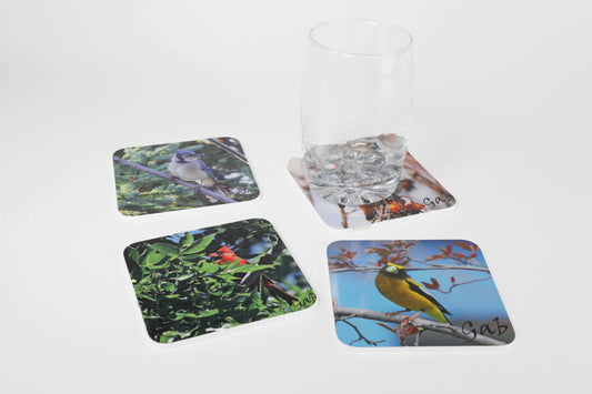 Ensemble de sous verres thématique Oiseaux de Jardins