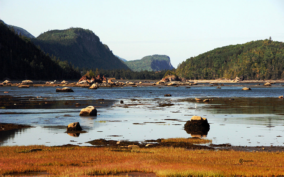 Impression photo Parc du Bic Pointe aux Épinettes