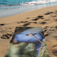 Serviette de Plage Pavots bleu\Colibri