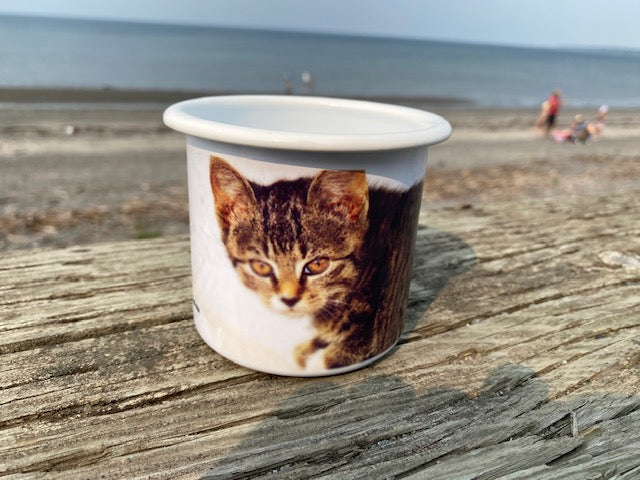 Tasse en métal TA-028 Chaton tigré