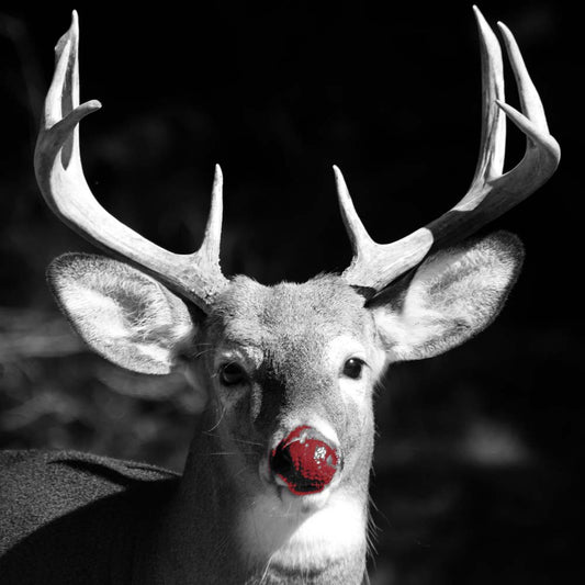 Rudolph Red-Nosed Deer Christmas Cushion 18x18 CV-1818-N002