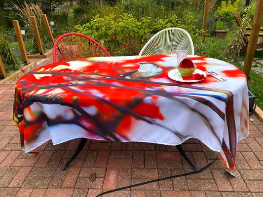 Tablecloths Rufous Hummingbird beak in the air NP-053