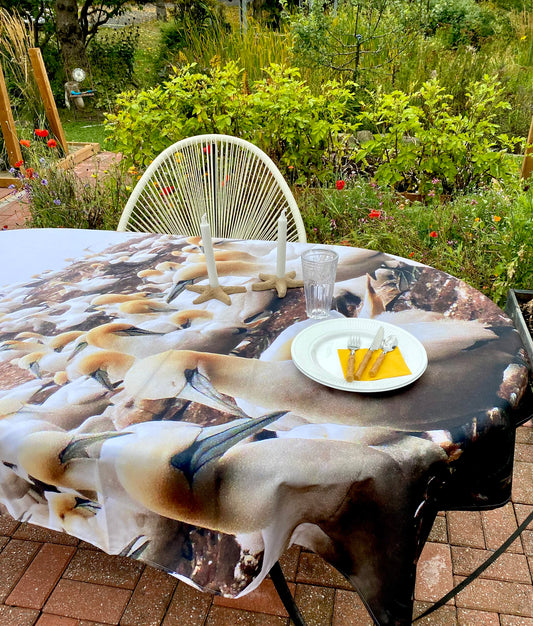 Gannet Colony Tablecloth 2 NP-067