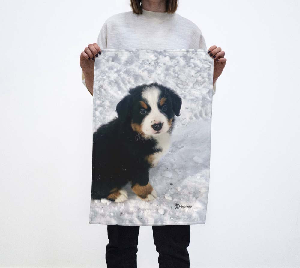 Bernese mountain dog blanket best sale